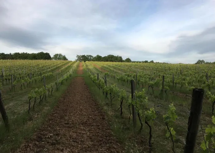 בית נופש Tranquil Escape In Dordogne Saint-Avit-Rivière